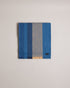 ALFREDY-Scarves-ALFREDY keeps you cosy with ease. This wardrobe staple is ready for action, whether you're jetting off for a weekend away or heading to the office. A striped design means its sure to look cool whatever the weather, and its woven knit is perfect for whipping round your shoulders when the wind picks up.The fabric of this product is made with 65% recycled polyester. Using recycled polyester helps divert plastic waste from ending in landfills. Scarf Woven knit Striped Fringed edge Ted Baker bran